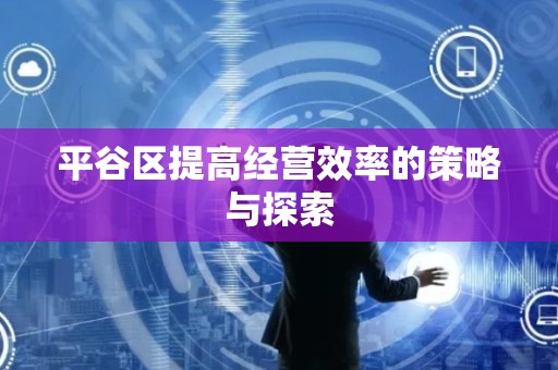平谷区提高经营效率的策略与探索