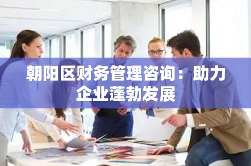朝阳区财务管理咨询：助力企业蓬勃发展