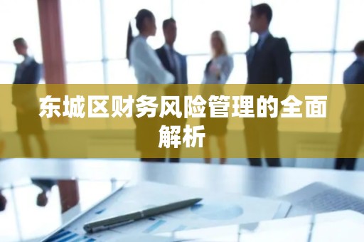东城区财务风险管理的全面解析