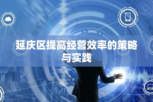 延庆区提高经营效率的策略与实践