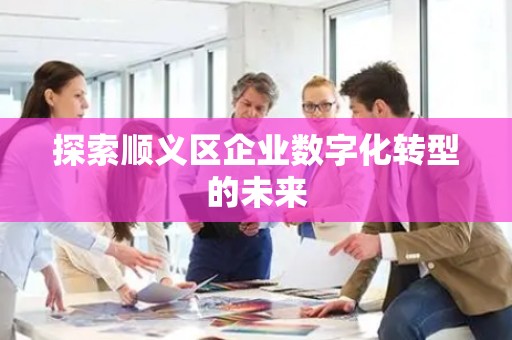 探索顺义区企业数字化转型的未来