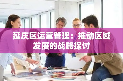 延庆区运营管理：推动区域发展的战略探讨