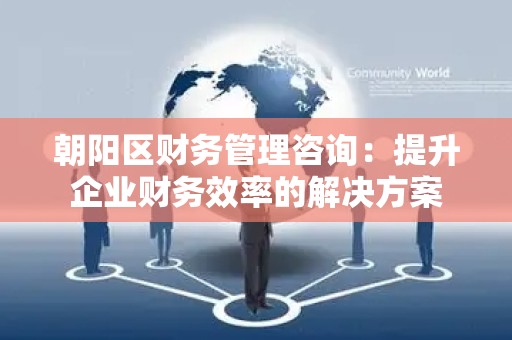 朝阳区财务管理咨询：提升企业财务效率的解决方案