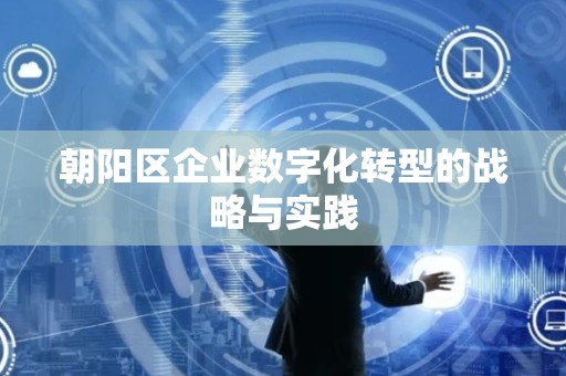 朝阳区企业数字化转型的战略与实践