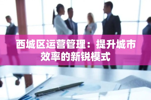 西城区运营管理：提升城市效率的新锐模式