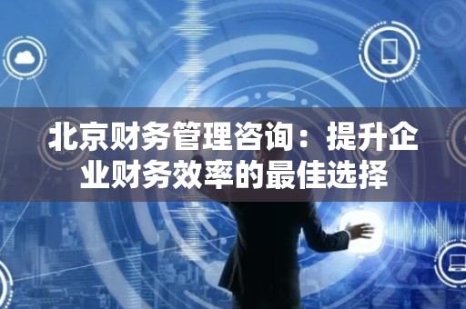 北京财务管理咨询：提升企业财务效率的最佳选择