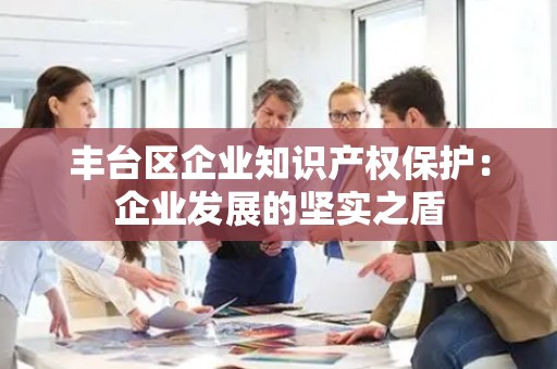 丰台区企业知识产权保护：企业发展的坚实之盾