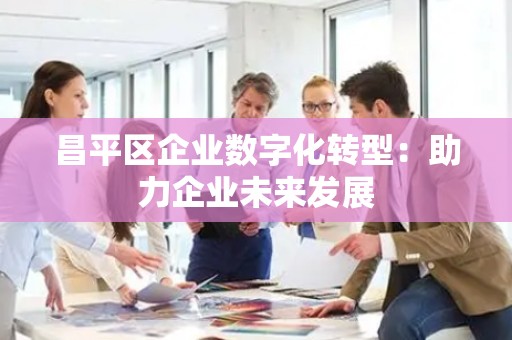 昌平区企业数字化转型：助力企业未来发展