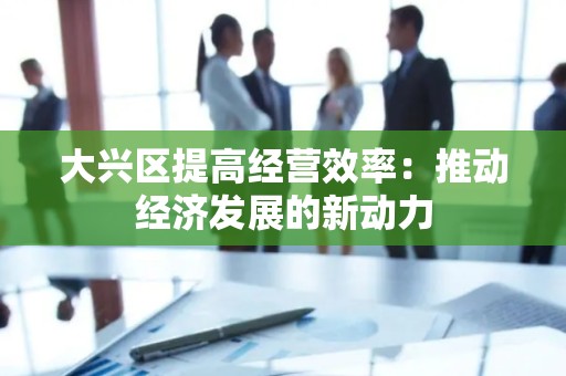 大兴区提高经营效率：推动经济发展的新动力