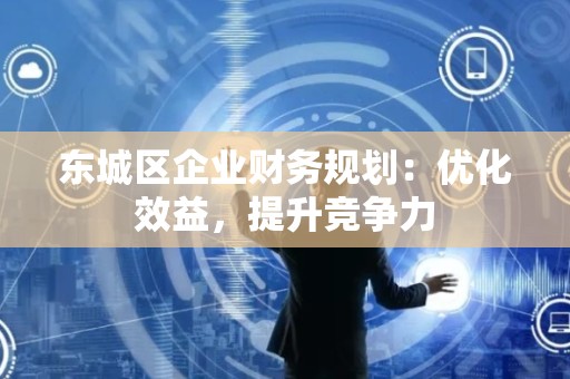 东城区企业财务规划：优化效益，提升竞争力