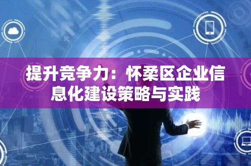 提升竞争力：怀柔区企业信息化建设策略与实践