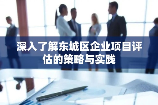 深入了解东城区企业项目评估的策略与实践