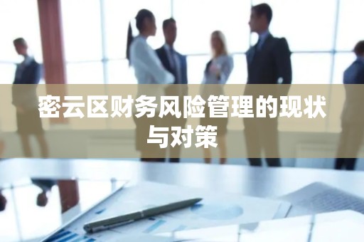 密云区财务风险管理的现状与对策