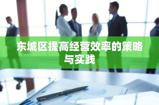 东城区提高经营效率的策略与实践