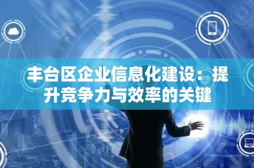 丰台区企业信息化建设：提升竞争力与效率的关键