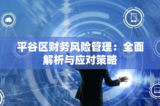 平谷区财务风险管理：全面解析与应对策略