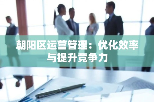 朝阳区运营管理：优化效率与提升竞争力