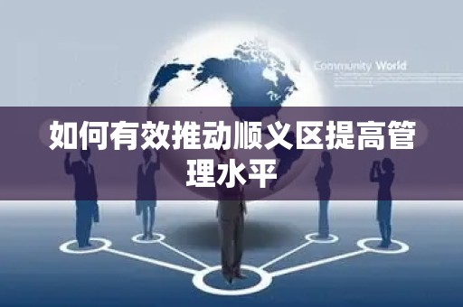 如何有效推动顺义区提高管理水平