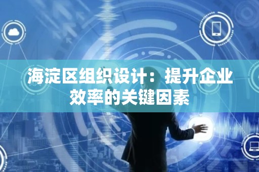 海淀区组织设计：提升企业效率的关键因素