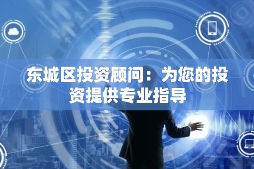 东城区投资顾问：为您的投资提供专业指导