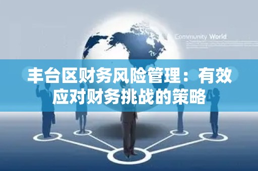 丰台区财务风险管理：有效应对财务挑战的策略