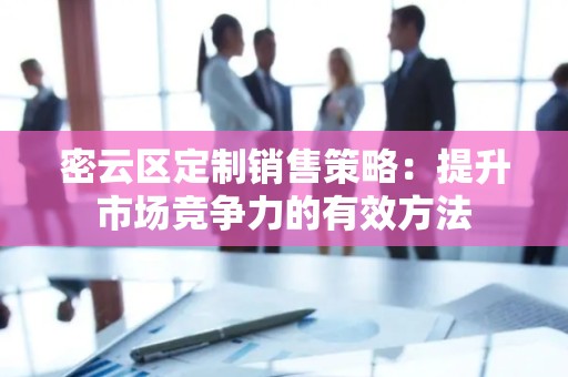 密云区定制销售策略：提升市场竞争力的有效方法