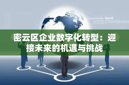 密云区企业数字化转型：迎接未来的机遇与挑战