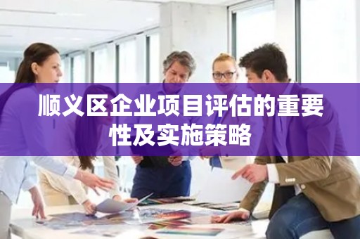 顺义区企业项目评估的重要性及实施策略