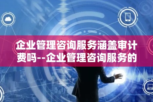 企业管理咨询服务涵盖审计费吗--企业管理咨询服务的全方位解析