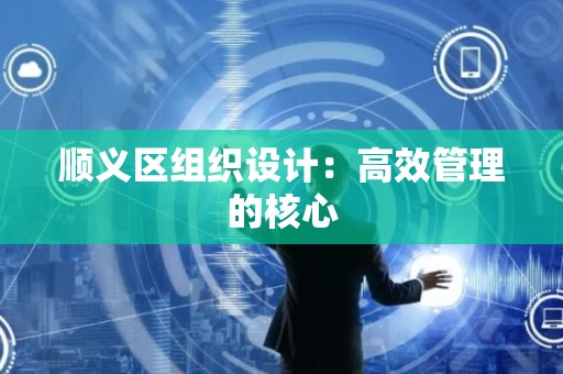 顺义区组织设计：高效管理的核心
