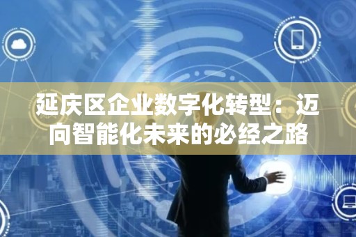 延庆区企业数字化转型：迈向智能化未来的必经之路