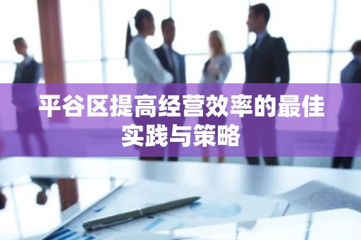平谷区提高经营效率的最佳实践与策略