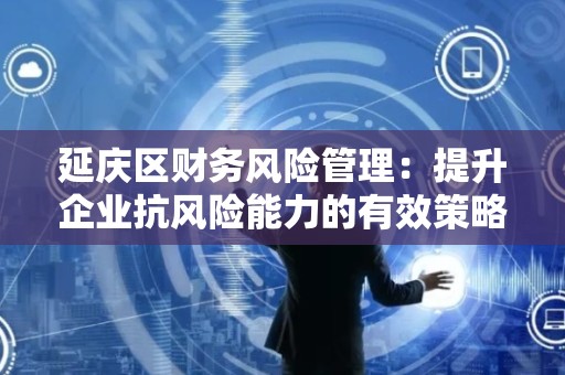 延庆区财务风险管理：提升企业抗风险能力的有效策略