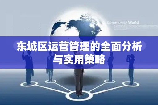 东城区运营管理的全面分析与实用策略