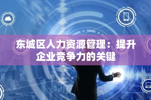 东城区人力资源管理：提升企业竞争力的关键
