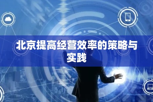 北京提高经营效率的策略与实践