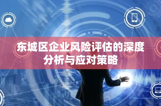 东城区企业风险评估的深度分析与应对策略