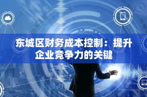 东城区财务成本控制：提升企业竞争力的关键