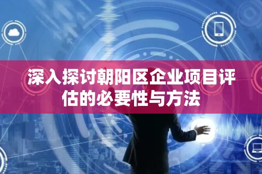 深入探讨朝阳区企业项目评估的必要性与方法