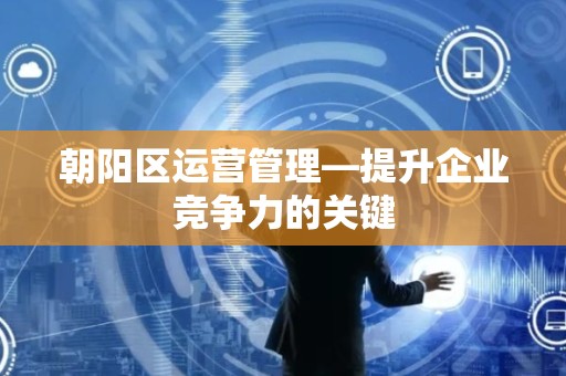 朝阳区运营管理—提升企业竞争力的关键