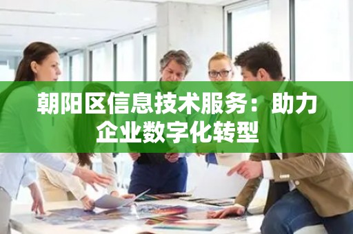 朝阳区信息技术服务：助力企业数字化转型