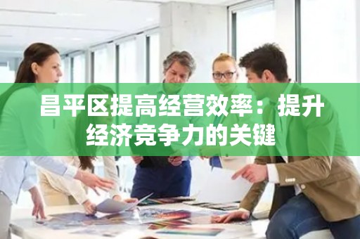 昌平区提高经营效率：提升经济竞争力的关键