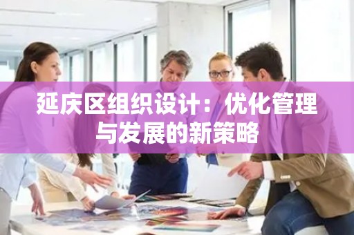 延庆区组织设计：优化管理与发展的新策略