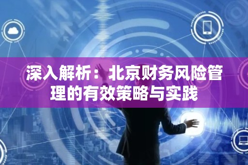 深入解析：北京财务风险管理的有效策略与实践