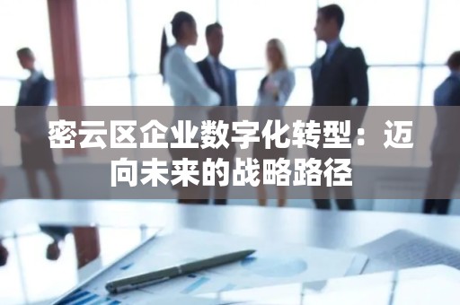 密云区企业数字化转型：迈向未来的战略路径