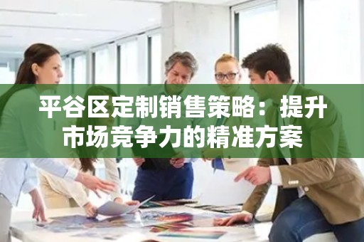 平谷区定制销售策略：提升市场竞争力的精准方案