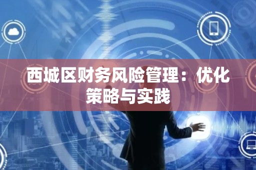 西城区财务风险管理：优化策略与实践