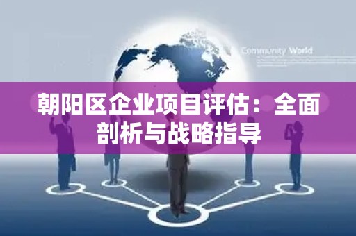 朝阳区企业项目评估：全面剖析与战略指导