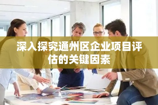 深入探究通州区企业项目评估的关键因素