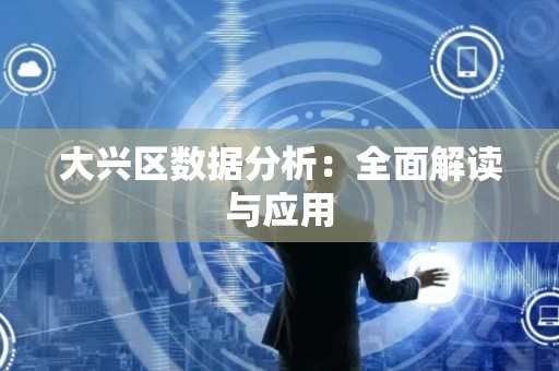 大兴区数据分析：全面解读与应用